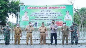 Lancarkan Gerakan Tanam Cabai, Bupati Hulu Sungai Selatan H Achmad Fikry Bagikan Benih – Banjarmasin Post