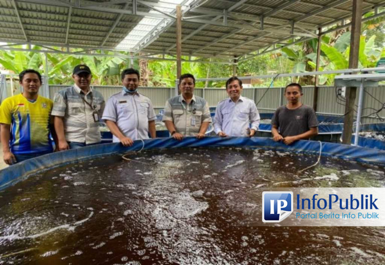 Balangan Coal Group Lakukan Pengembangan Sistem Bioflok di Desa Murung Ilung – InfoPublik