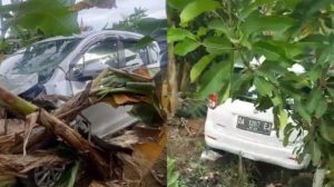 Satu Pengendara Motor Meninggal, Begini Kronologis Kecelakaan di Angkinang HSS Kalsel – Banjarmasin Post