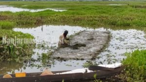 Delapan Kepala Desa Kunjungi DPRD Kabupaten HSU, Minta Solusi Gagal Tanam Padi