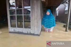 Sebanyak 4.663 rumah di hulu Kali Utara Kalimantan Selatan terendam banjir – ANTARA