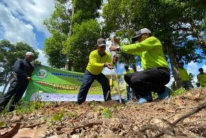 98 Bibit Pohon Ditanam di Kebun Raya Balangan – Banjarhits