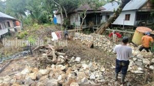 Pemerintah Desa Pulantani, Kabupaten Hulu Sungai Utara, Bangun Jalan Tani