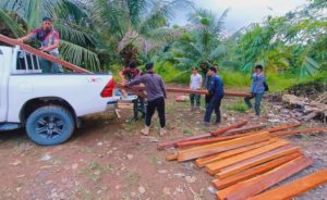 Dinas Kehutanan Kalsel Temukan Illegal Logging di Gunung Lintang Tanahlaut – Kalimantan Live