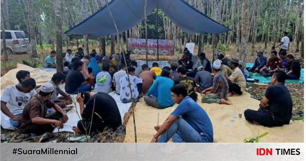 1.200 Hektar Kebun Karet di Tabalong Terjangkit Penyakit