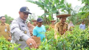 Pemerintah Kabupaten Hulu Sungai Utara Tingkatkan Potensi Wisata Melalui Agrowisata – Banjarmasin Post