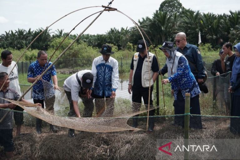 Staf Ahli Menteri Kelautan dan Perikanan mengunjungi HST yang sedang mengembangkan budidaya ikan gabus