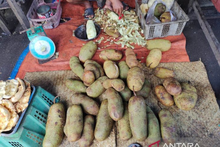 Cempedak asal Kalbar mendominasi penjualan di … – ANTARA Kalsel