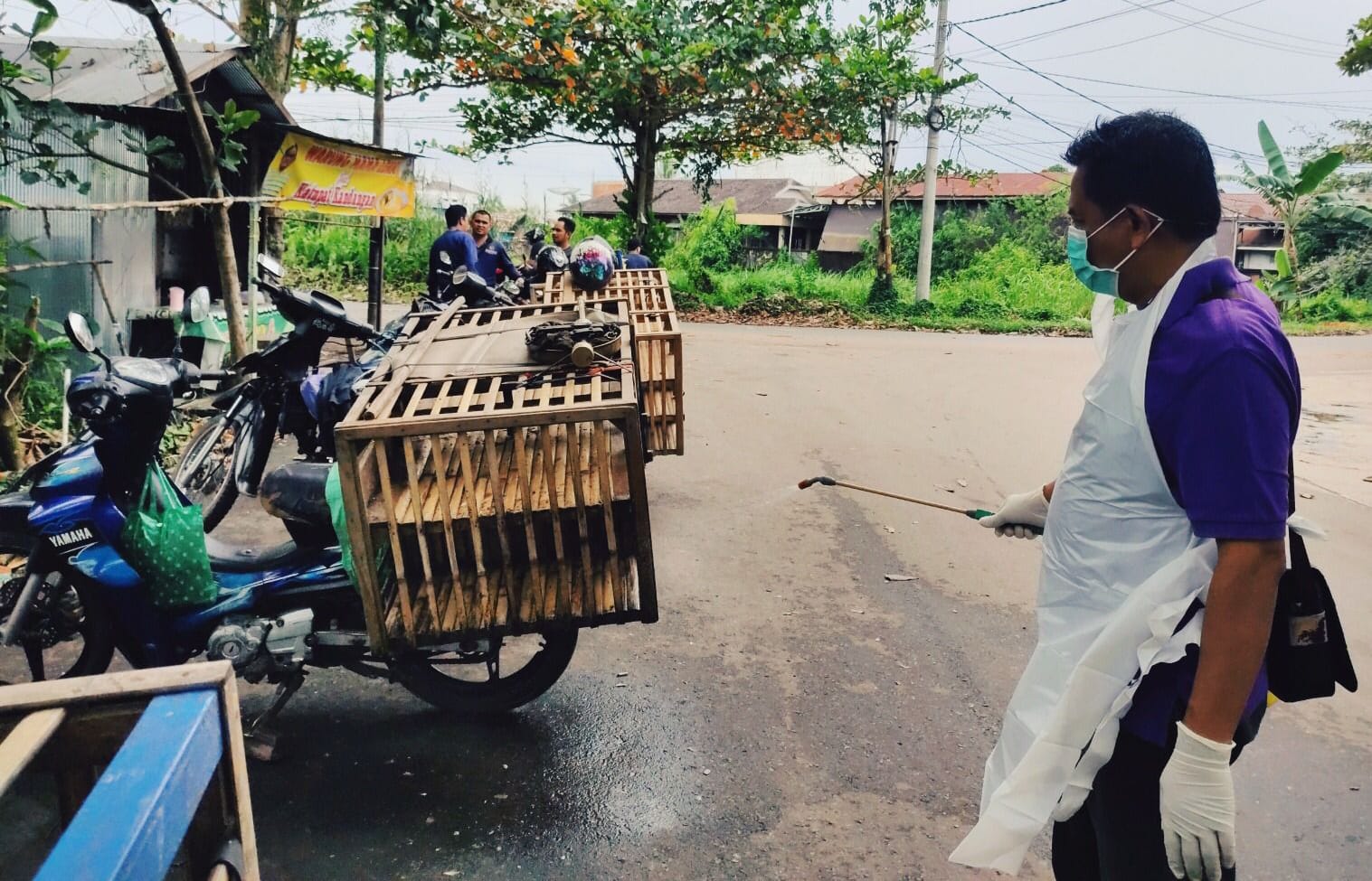 Sebut 200 Itik Terdampak Flu Burung di HSU, Ini Penjelasan Distan HSU