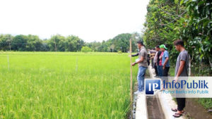 Masyarakat Desa Pulantan Lakukan Minapadi Untuk Optimalisasi… – InfoPublik