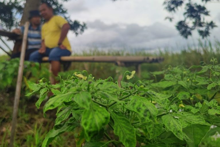 Sambal ABC varian baru sambal hiyung