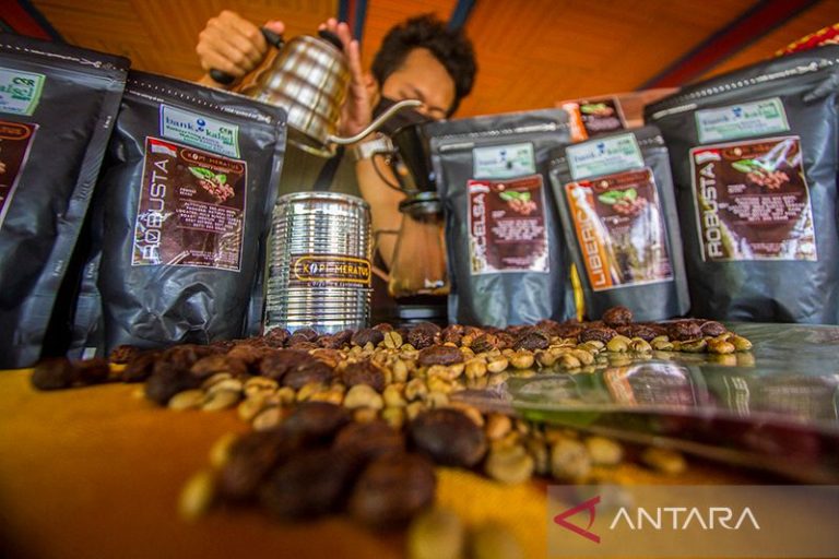 Pemerintah Kabupaten HST meningkatkan perekonomian UMKM melalui "Festival Kopi Murakata" – ANTARA Kalimantan Selatan