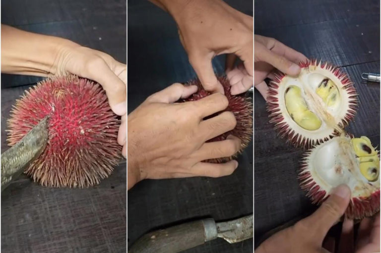 Durian Merah Khas Kalimantan Yang Mirip Rambutan Raksasa, Penasaran Selera Anda