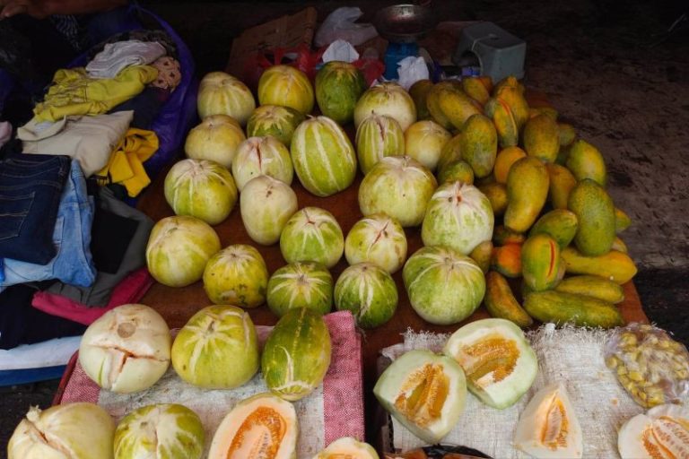 Buah bilungka langlang merupakan buah yang paling banyak dicari saat berpuasa